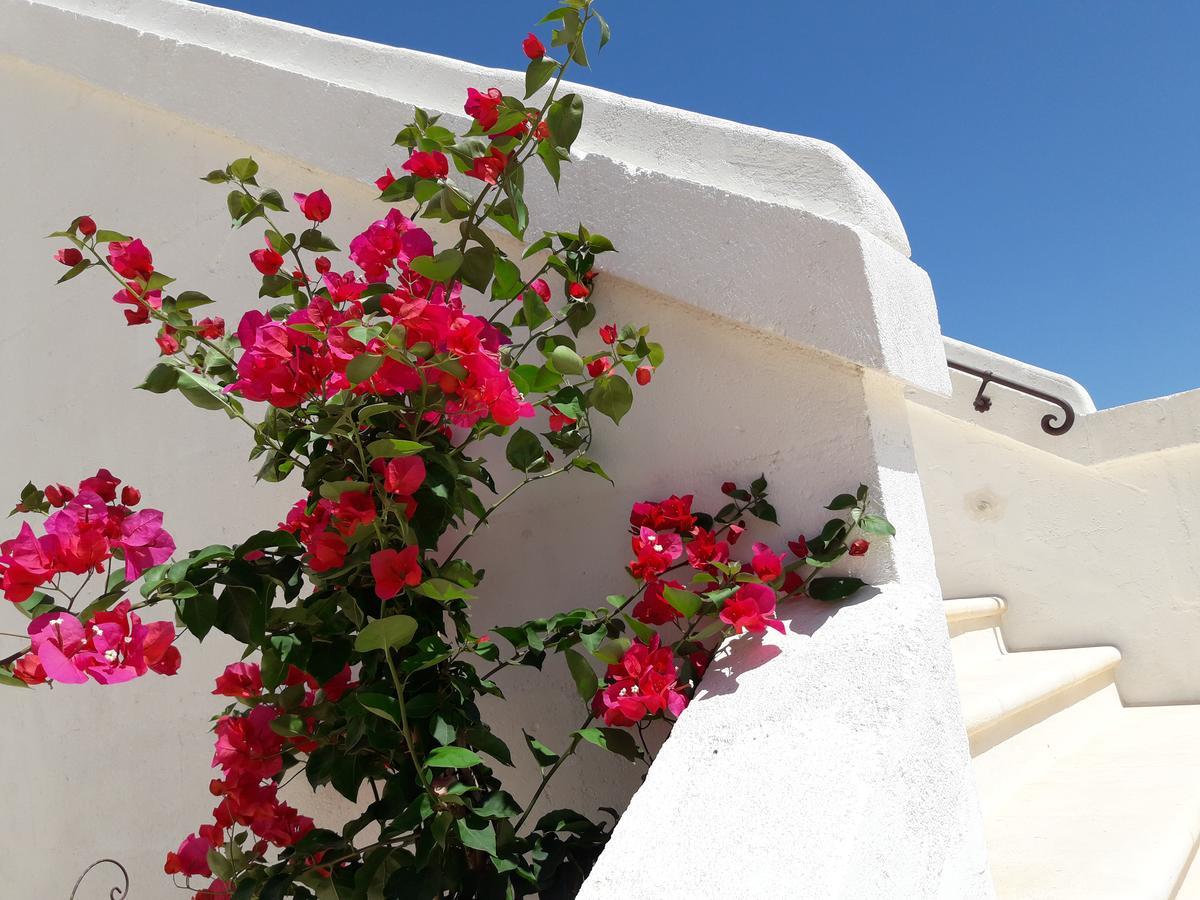 Masseria Almadava ポリニャーノ・ア・マーレ エクステリア 写真